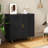 2-Door Storage Cabinet With Adjustable Shelves-565272677