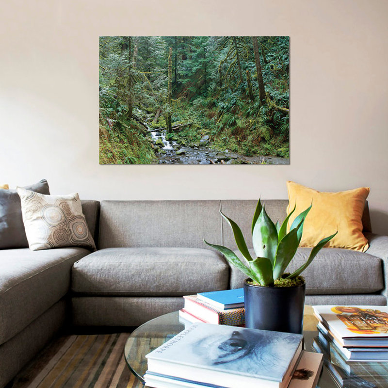 « eagle creek flowing through trempé old growth rainforest, columbia river gorge, oregon », reproduction de photo sur toile