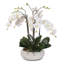 Orchid Faux Floral Arrangement in Pot