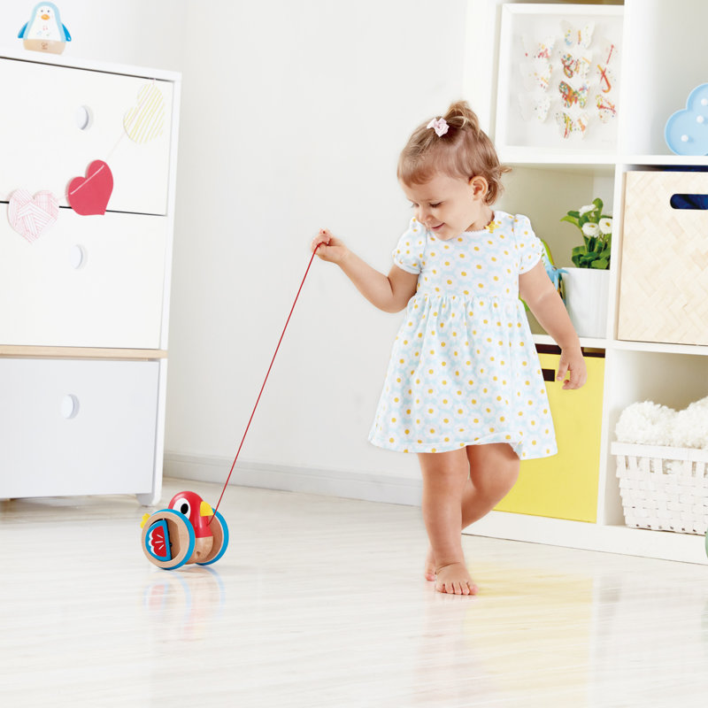 Bird Pull-Along Toddler Toy
