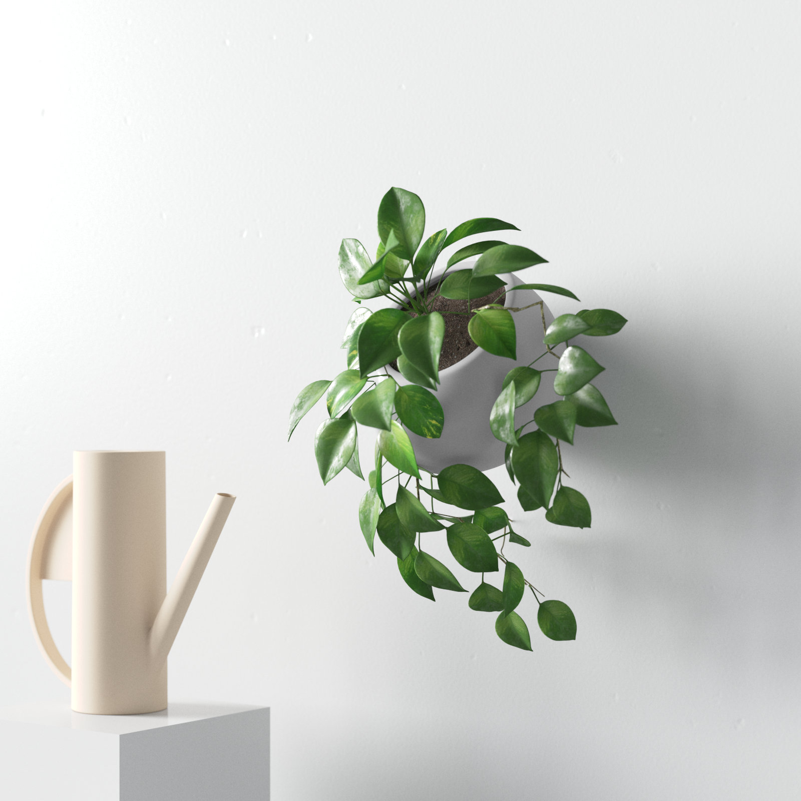 Hilaria Ceramic Wall Planter, 3.5'' H x 4'' W x 5" D, Matte Light Gray