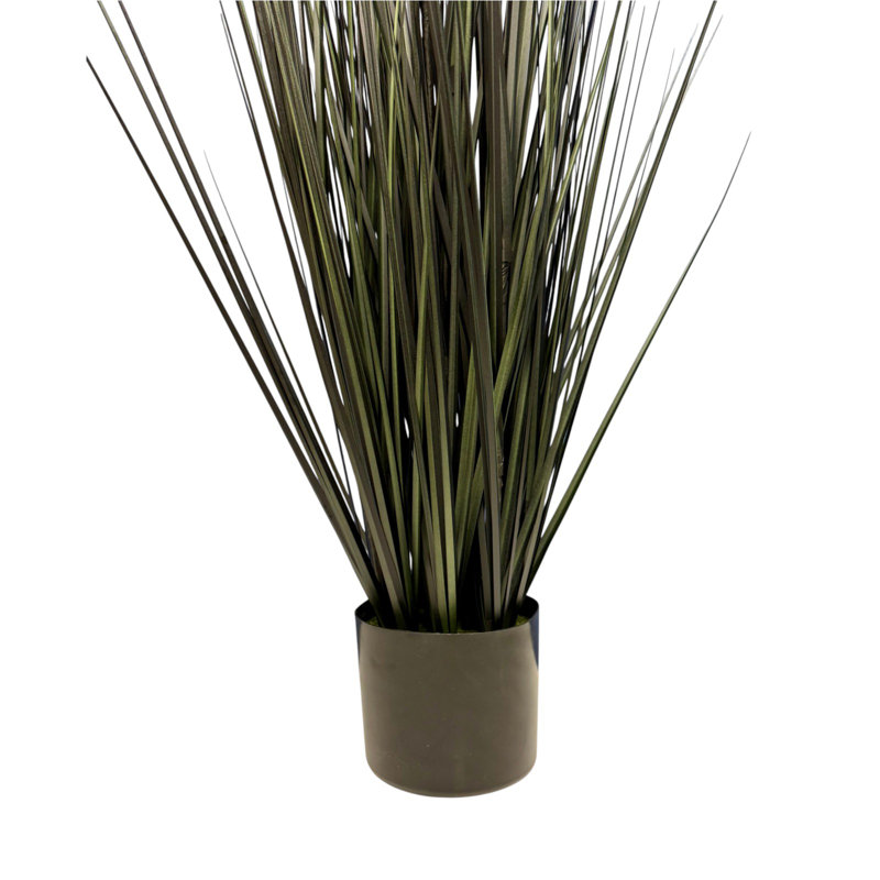 Herbe dans un pot 47 po, 47 po x 22 po