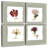 Harnek Pressed Blooms I