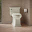 Memoirs Stately Comfort Height 1.28 gpf One-piece Compact Elongated Toilet-388580434