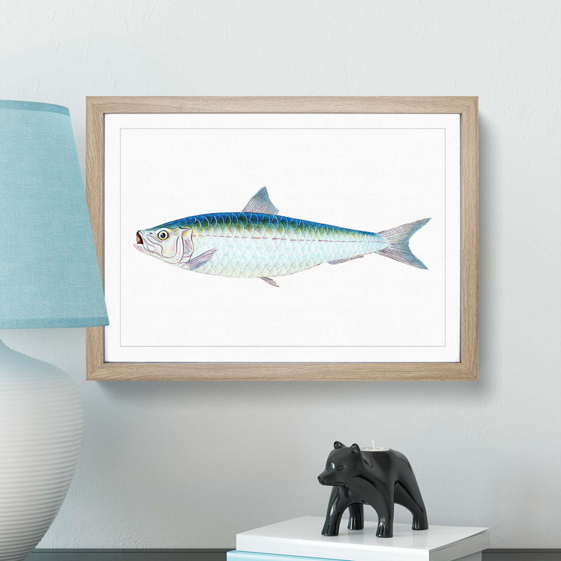 Pilchard Fish by Edward Donovan - Picture Frame Painting Print, 27cm H x 36cm W x 2cm D, Oak Framed