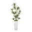Arbre Dracaena en pot de fibres