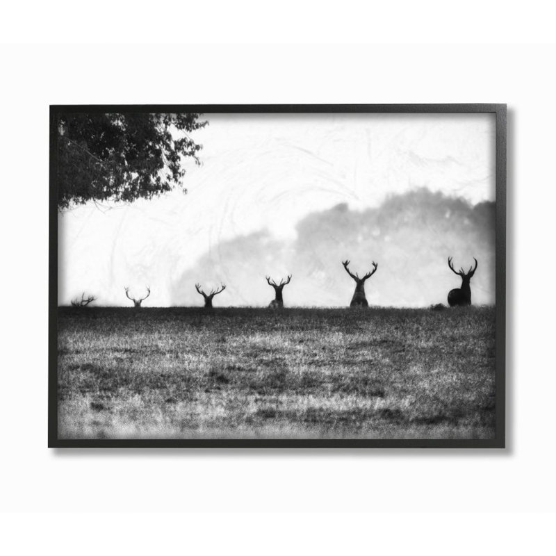« cerf family photo », impression sur toile, H 24 po x l 30 po x P 1,5 po, Giclée encadrée noir minuit