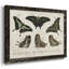 «Crackled Butterflies II», peinture sur toile encadrée-1900715890-1900715893