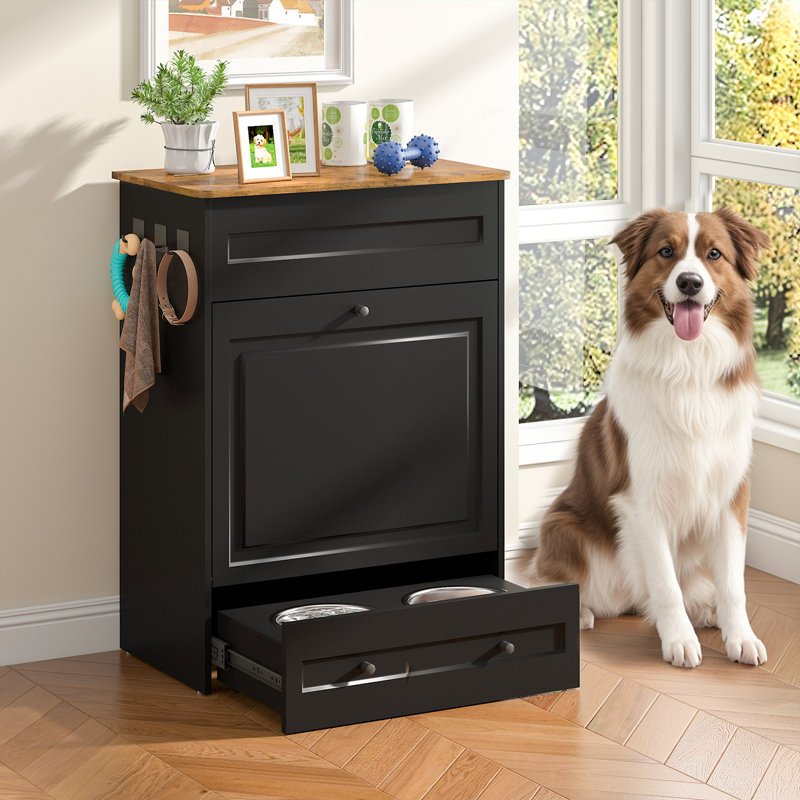 Station d'alimentation moderne pour animaux avec 2 bols surélevés pour chien, rangement pour aliments, tiroir rabattable et crochets