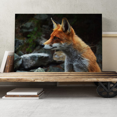 Red Fox Photographic - Wrapped Canvas