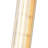 Shaw 1 Light Wall Sconce-20645953