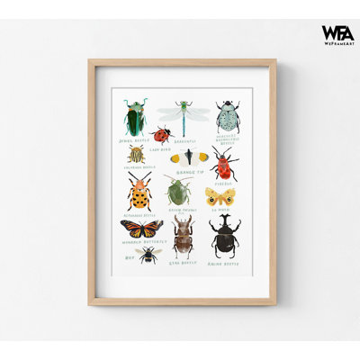«Bugs» par Hanna Melin, décor de bureau d'entomologiste, affiche de coccinelle, affiche de chambre d'enfant mignonne, affiche de libellule