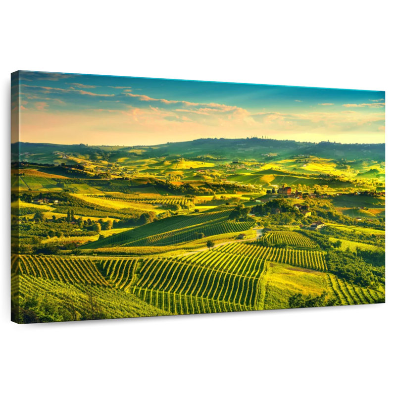 Alvord Sunlit Langhe Vineyards