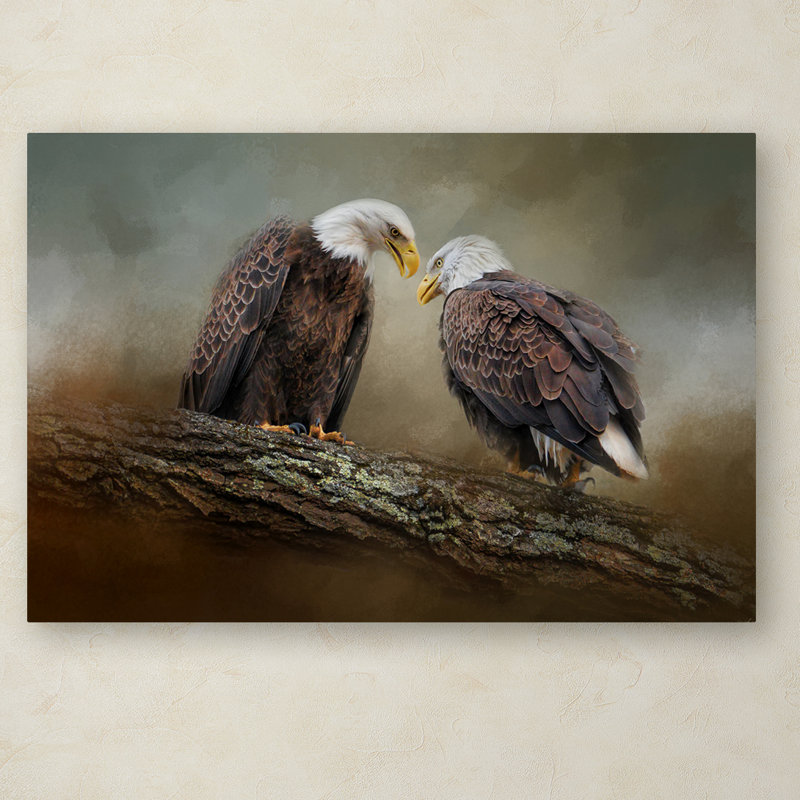 «Vidur« Quiet Conversation Bald Eagles », reproduction d'impression sur toile tendue, H 12 po x l 19 po