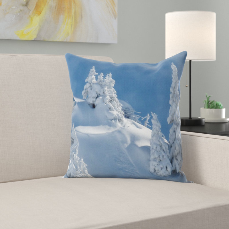 Coussin wintry
