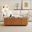 Table basse de style moderne Mid-Century avec rangement caché, parfaite pour la vie contemporaine et peu encombrante
