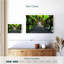 Lilie Tree Vine Bridge-111858458