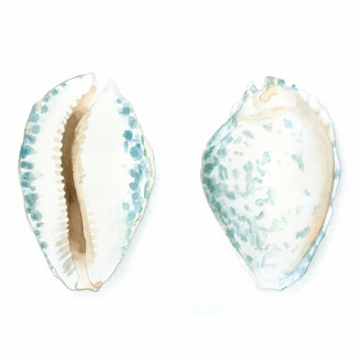 " Watercolor Shells VI " by Megan Meagher Painting Print