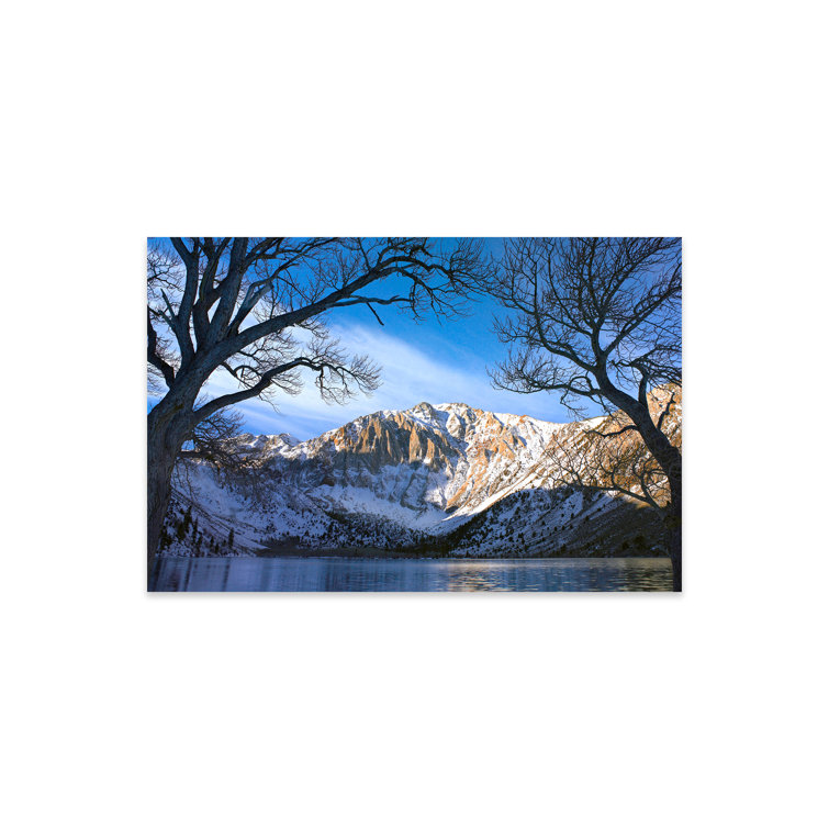 Millwood Pines Laurel Mountain And Convict Lake Framed By Barren Trees ...