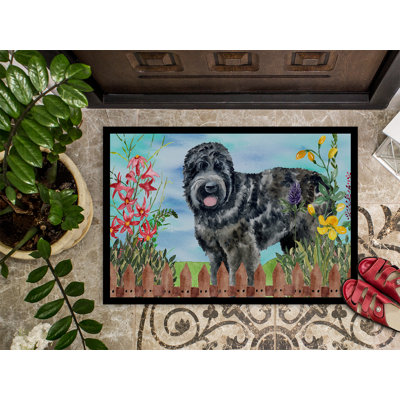 Tapis de porte d’extérieur antidérapante à ressorts russes terrier