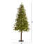 Lighted Artificial Pine Christmas Tree-1736008113