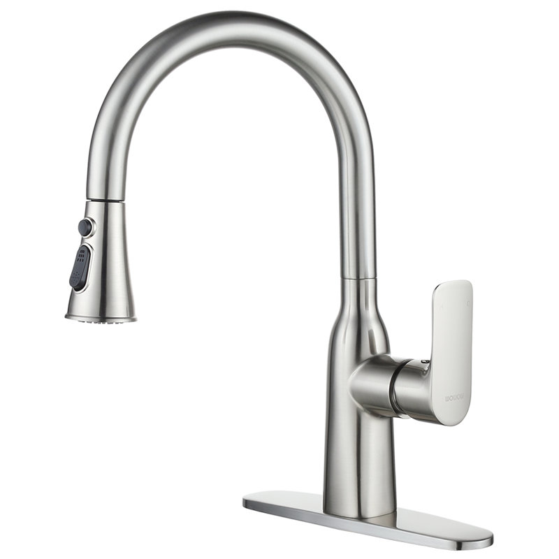 WOWOW Pull Out Kitchen Faucet, Silver