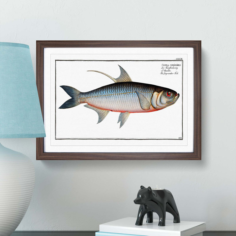 Deep-water Fish by M.E. Bloch - Picture Frame Painting Print, Walnut Framed, 36cm H x 48cm W x 2cm D