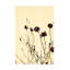 Fleurs fanées sur toile-1849573307