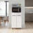 White 2-door Kitchen Storage Cabinet