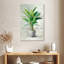 Pot Harnek Greenhouse Palm II-108664564