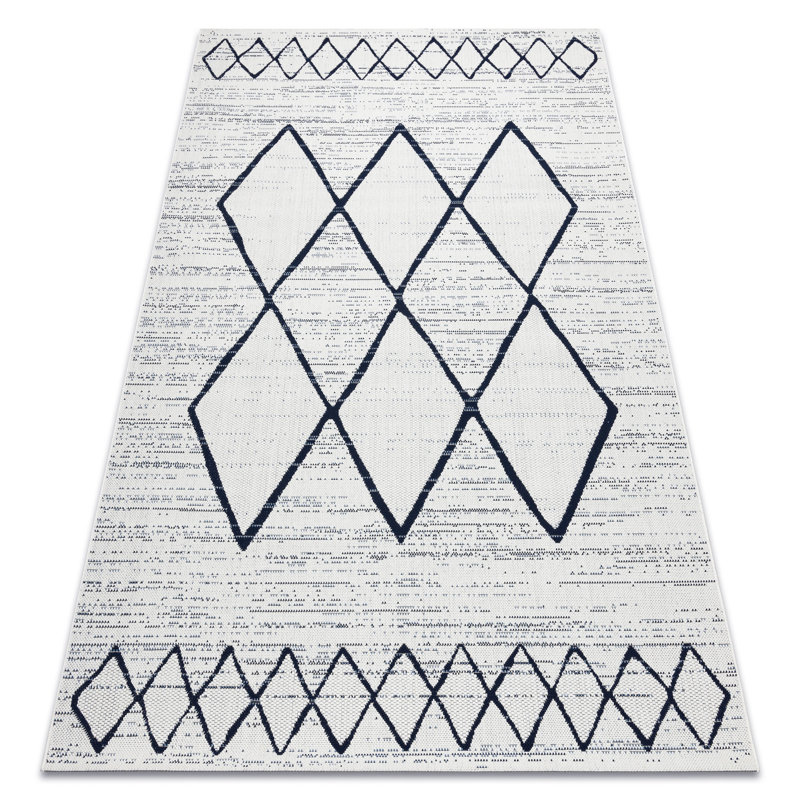 Aquirre Indoor / Outdoor Area Rug, Rectangle 140 x 200cm