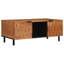 Coffee Table with Storage-1827995494