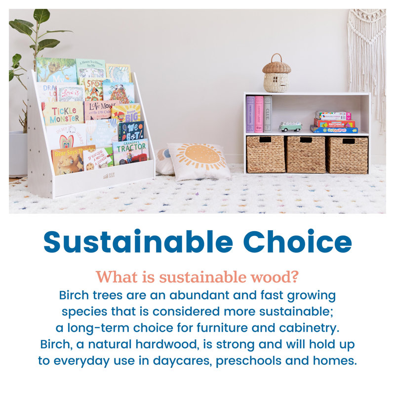 White Birch Wood Kids' Freestanding Book Display with Storage