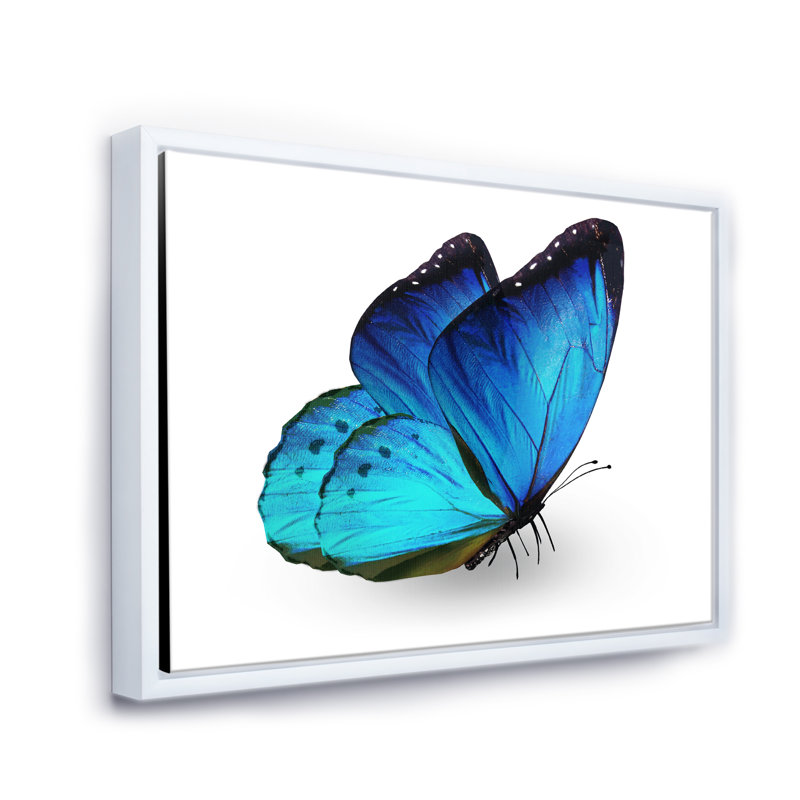 «Vibrant Blue Butterfly», reproduction sur toile, H 16 po x l 32 po x p 1 po, Toile blanche encadrée