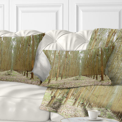 Hévéa, arbres en caoutchouc en Thaïlande - coussin décoratif imprimé forêt