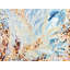 Primavera Splendour Print by Novi Lim-132612914-65783261