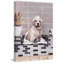 «Perfect Bubble Bath», reproduction d'art sur toile tendue-921684007