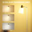 147.98 H cm Matte Task Floor Lamp