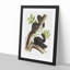 Black Squirrels by J.W. Audubon - Picture Frame Art Print-55512391-55512394