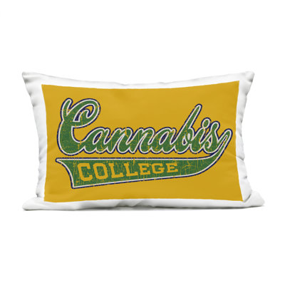 Coussin extérieur Stupell Industries