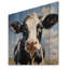 Vache noire et blanche broutant les prés II - animal de vache sur bois-1610115953