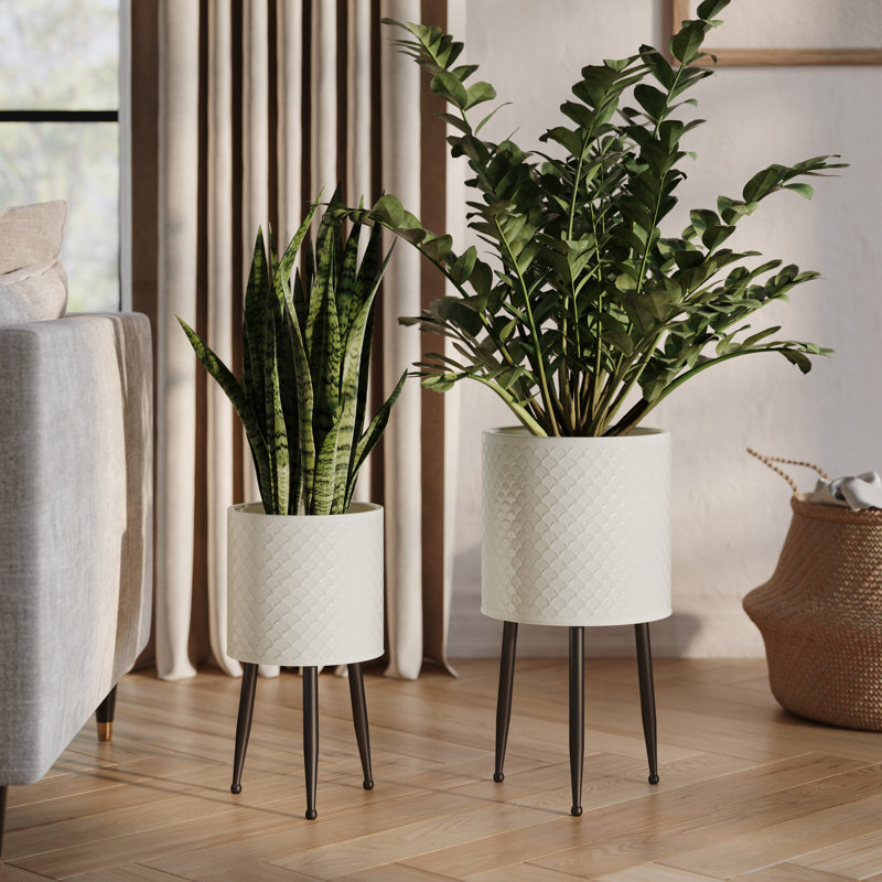Reyanshi Mid Century Modern Indoor Metal Pot Planter 3-Leg Metal Base - Set