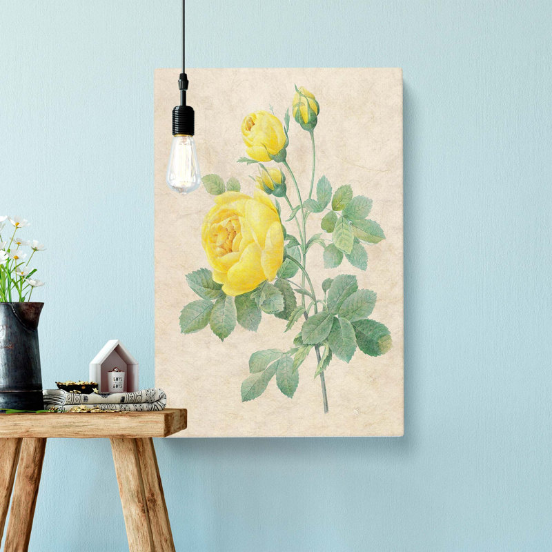 The Yellow Roses by Pierre-Joseph Redoute - Wrapped Canvas, 60cm H x 40cm W x 3cm D