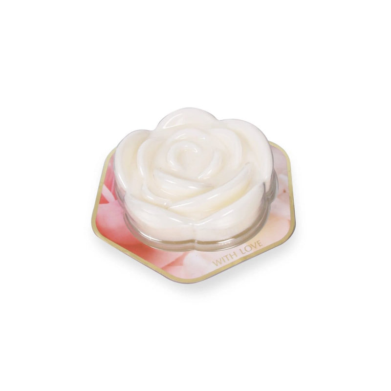 Spring / Summer 2025 Plant / Floral Scented Wax Melt