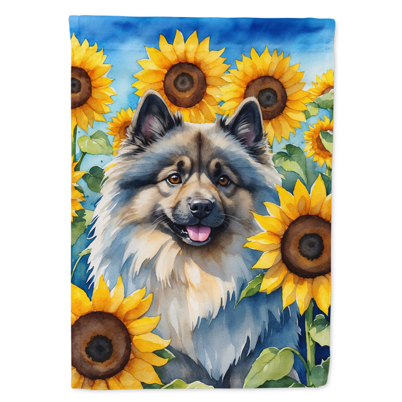 Lévrier irlandais dans le drapeau du jardin de tournesols, Spitz loup