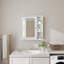 Armoire de salle de bain avec miroir