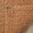 Woodlawn Hand Woven Cotton Solid Color Rug-22810482