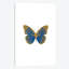 «Butterfly», impression sur toile en bleu-29679661-74413020-74413014