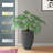 Elbe Handmade Pot Planter-307928434-307928437