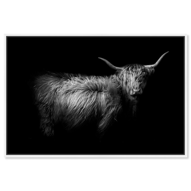 «A Cow» par Oliver Gal - impression d'art graphique, Toile blanche, H 20 po x l 30 po x P 1,5 po